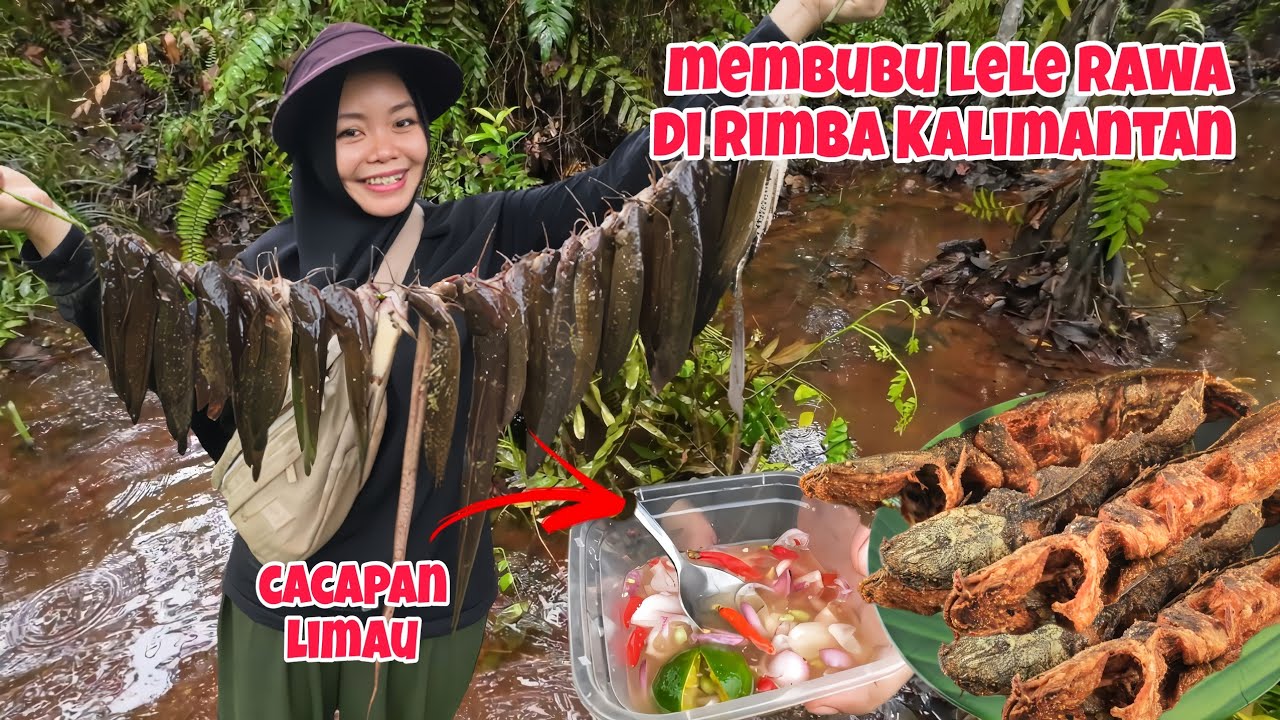Mamah Nada Menerobos Rawa Rimba 🤤 Demi lele rawa goreng senikmat ayam kampung