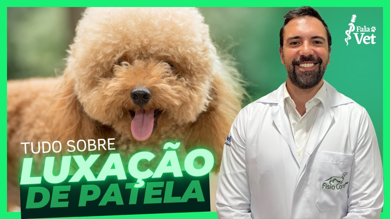 Luxação de Patela: Uma das afecções mais comum em cães e gatos