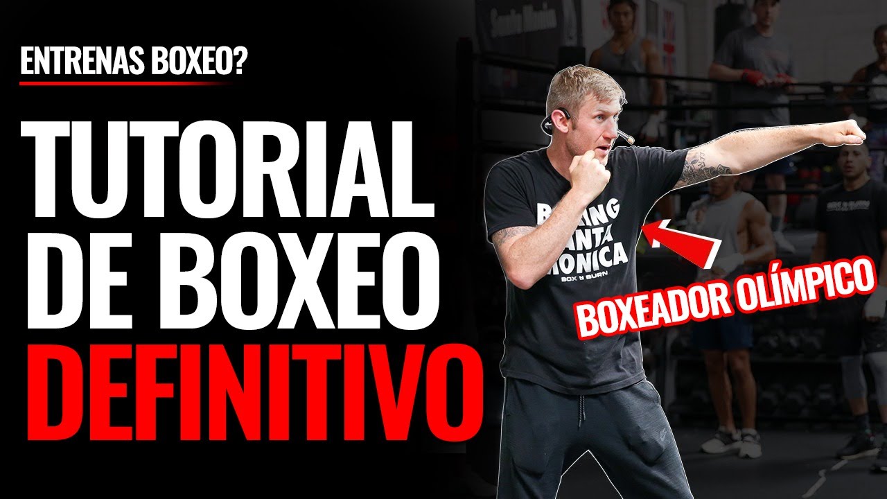 TUTORIAL 101: LA GUIA DEFINITIVA DE BOXEO!