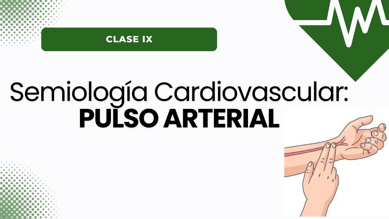 Semiología Cardiovascular: PULSO ARTERIAL