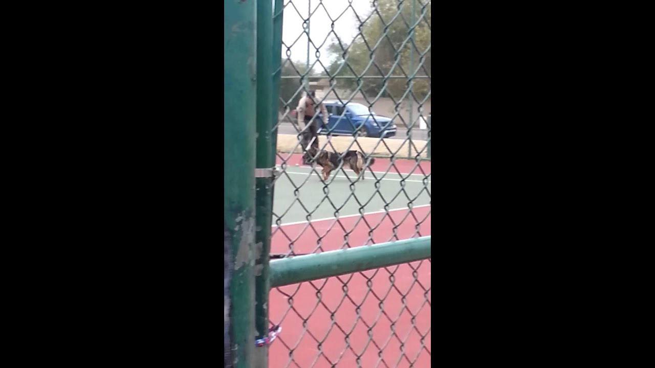 The worst dog catchers dog v 3 people