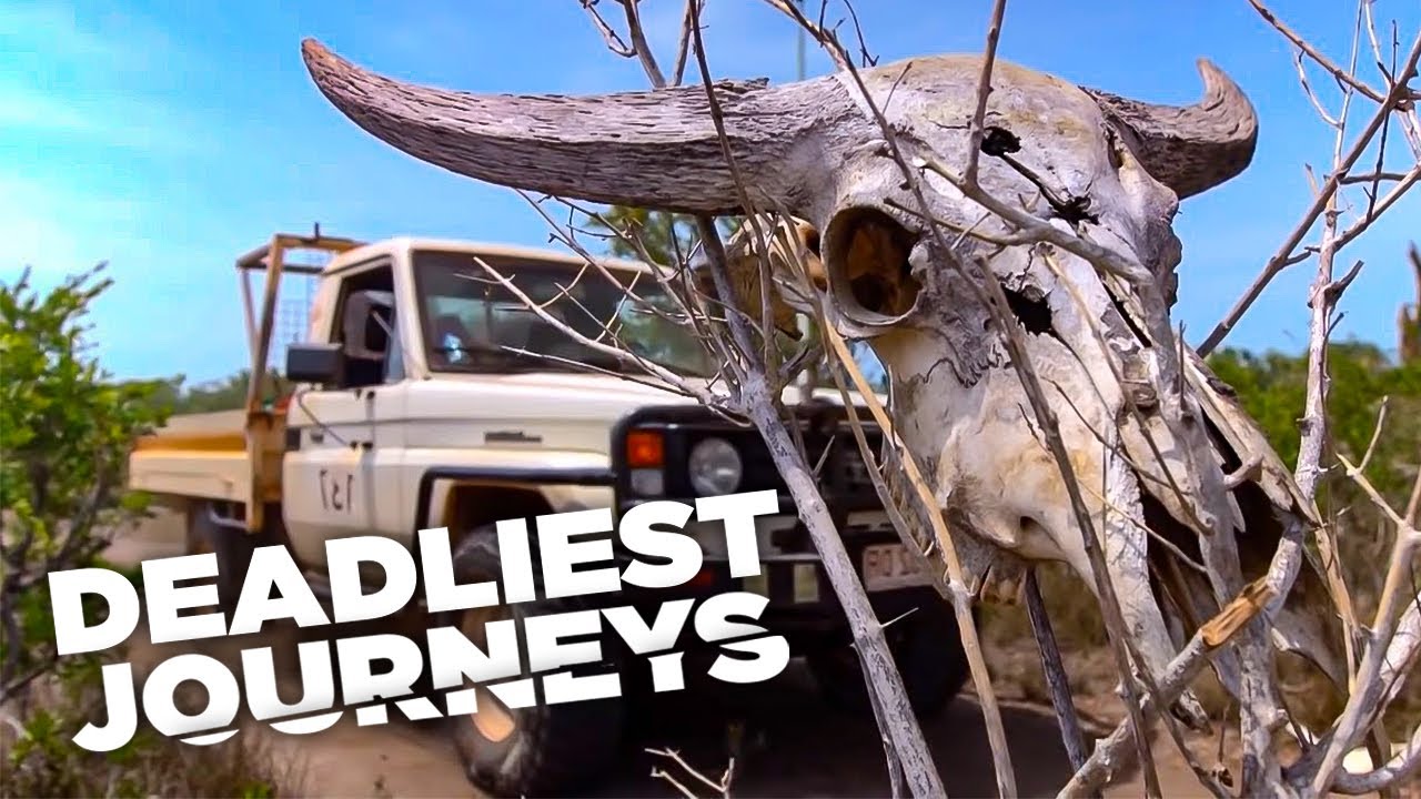 Deadliest Journeys - Australia: the roars of the Bush