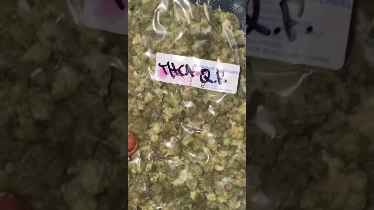 $99 QP Shake and Smalls🔥 Black Label JK Distro