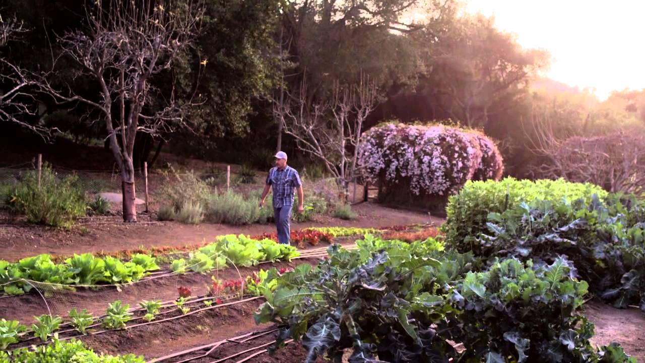 GOLDEN DOOR BIODYNAMIC FARMING