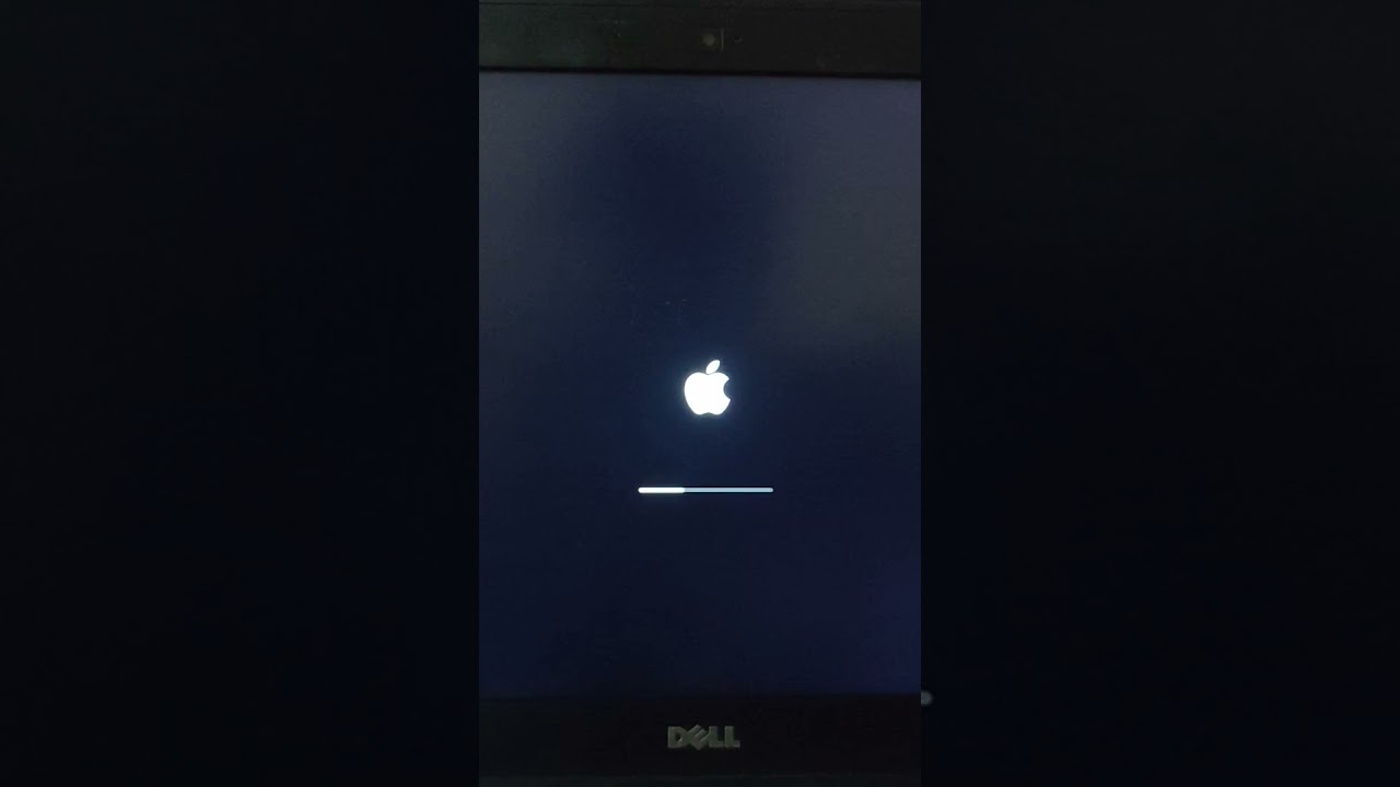 Hackintosh Dell Latitude E7440 Big Sur full wokring