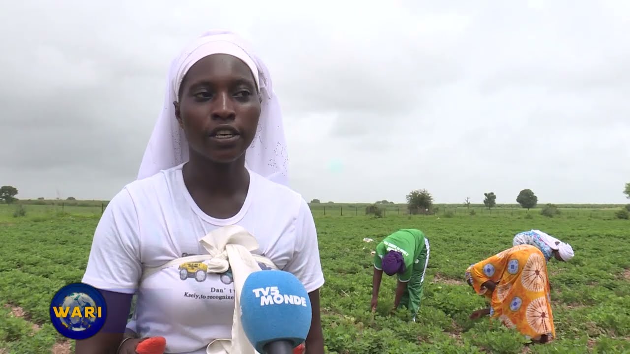 Le PAM et les jeunes agriculteurs sénégalais face aux défis du système alimentaire