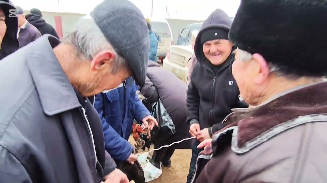 4 МАРТ 2026 КАРАОЗЕК ТАУЫК БАЗАР БАХАЛАРЫ