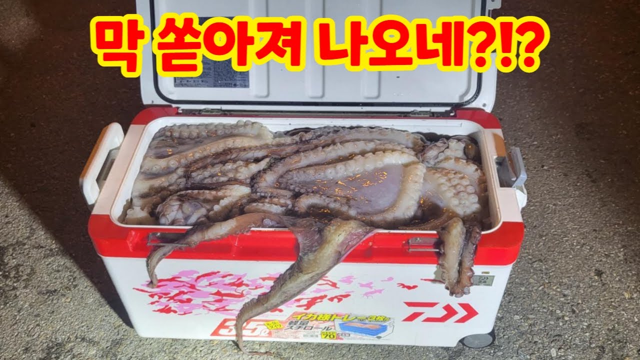 단 1시간이면 충분하다!