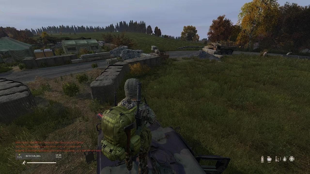 When dayz tries its best