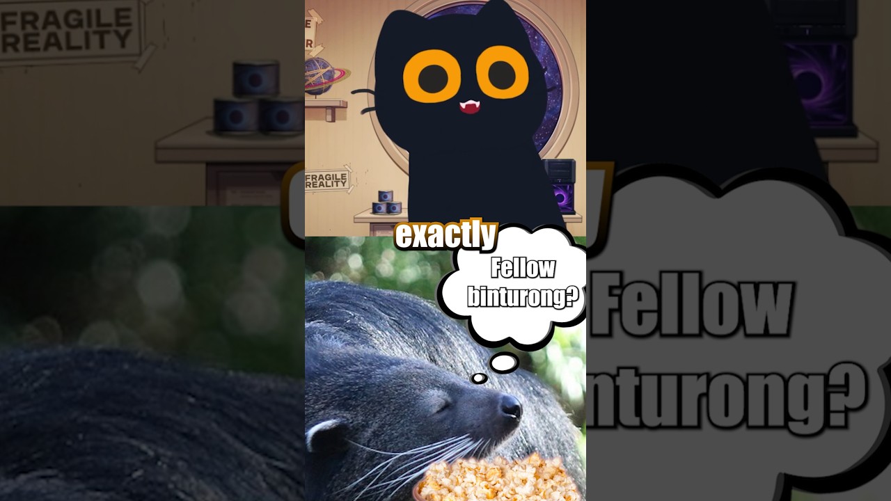 BINTURONGS smell like hot popcorn?! #vtuber #funny #animal