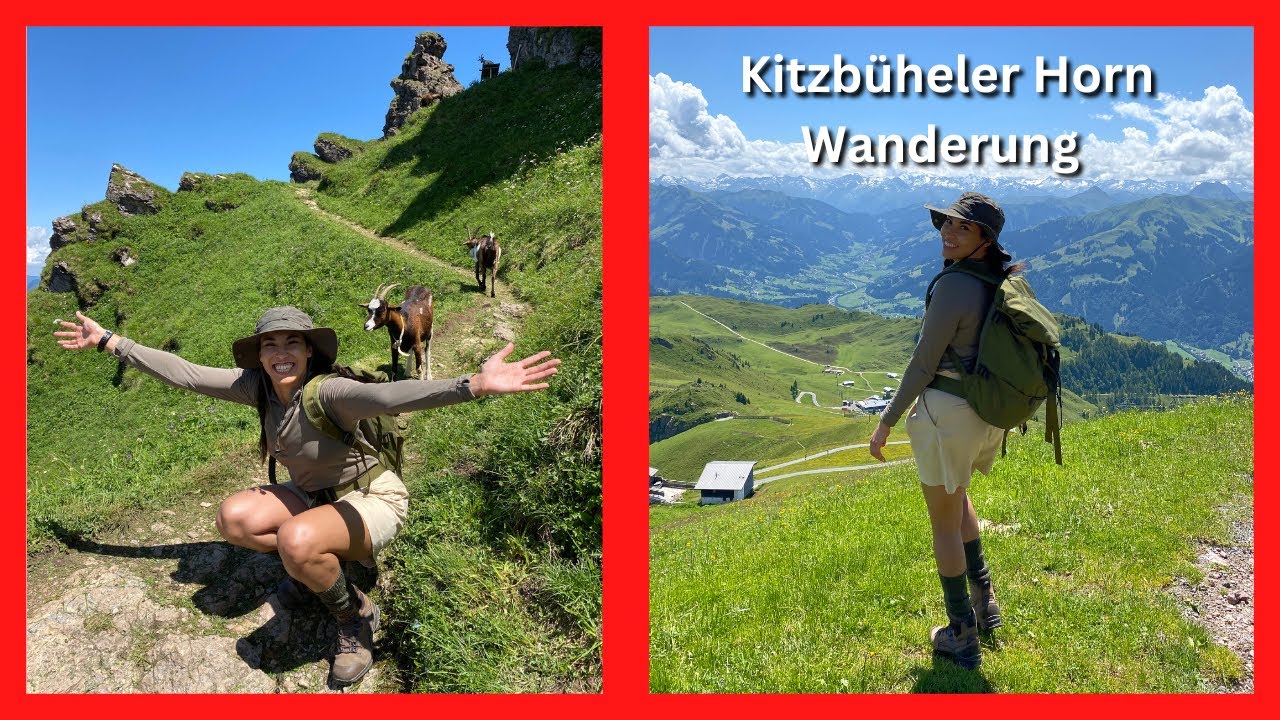 Atemberaubende Wanderung zum Kitzbüheler Horn: Kühe und wilde Bergziegen treffen!