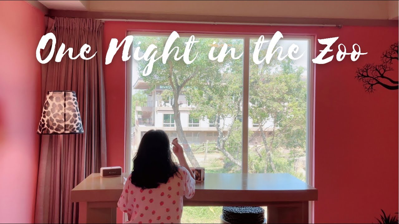 ENG【VLOG】One Night in the Zoo/開箱Marshall Emberton韓妞愛的奶油白/小廢包能裝什麼/紐約小眾精品Teddy Blake | Amily's Vlog.54