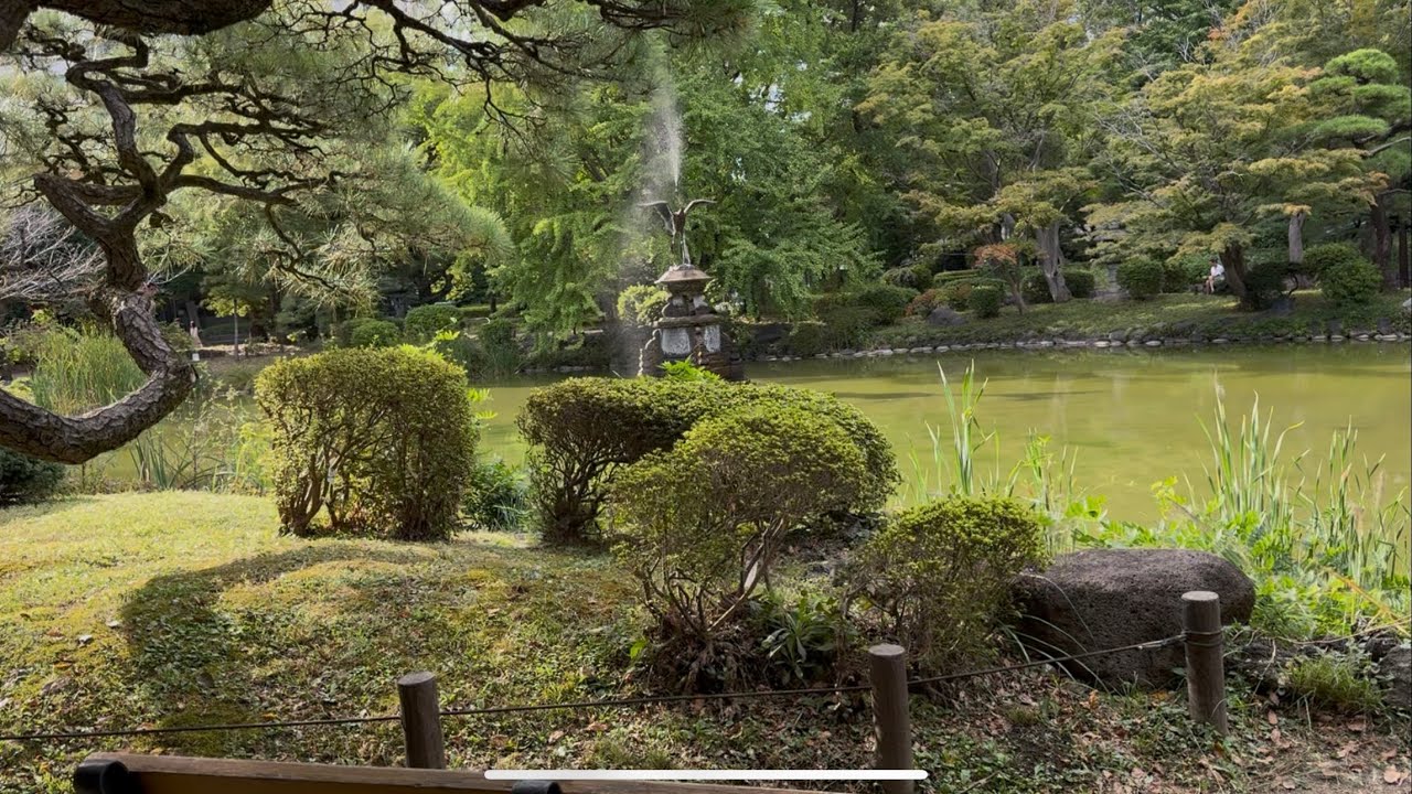 Tokyo Walk and Hibiya Park 