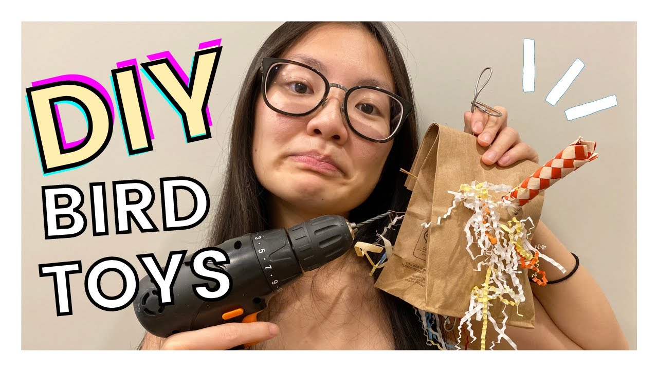 DIY BIRD TOYS YOU CAN MAKE AT HOME | Easy, Cheap DIY Foraging Ideas and Toys for Parrots