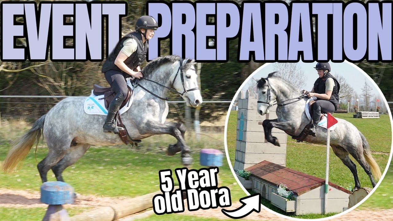 BABY HORSE GOES CROSS COUNTRY