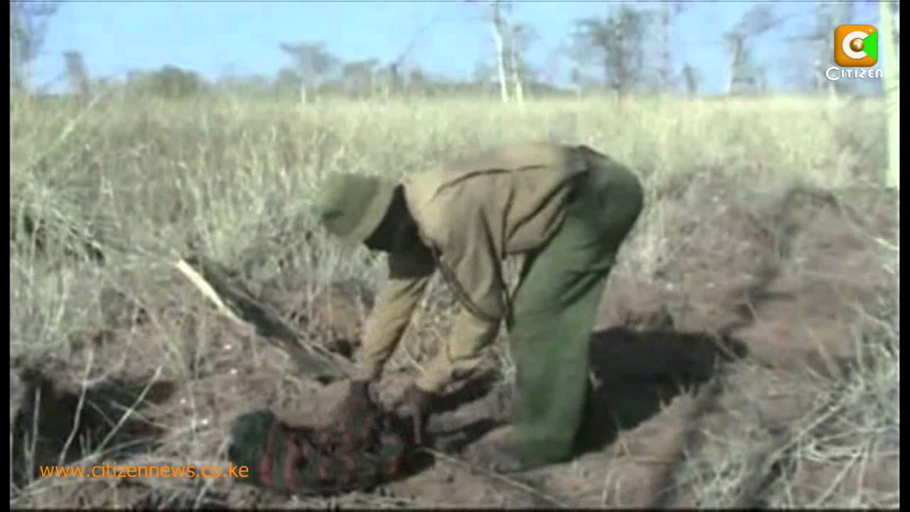 Turkana Killings