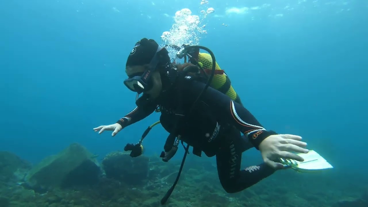 buceo con cinco sirenitas en Radazul, Tenerife (marzo 2025)