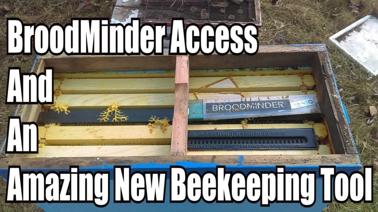 BroodMinder Access And An Amazing New Beekeeping Tool