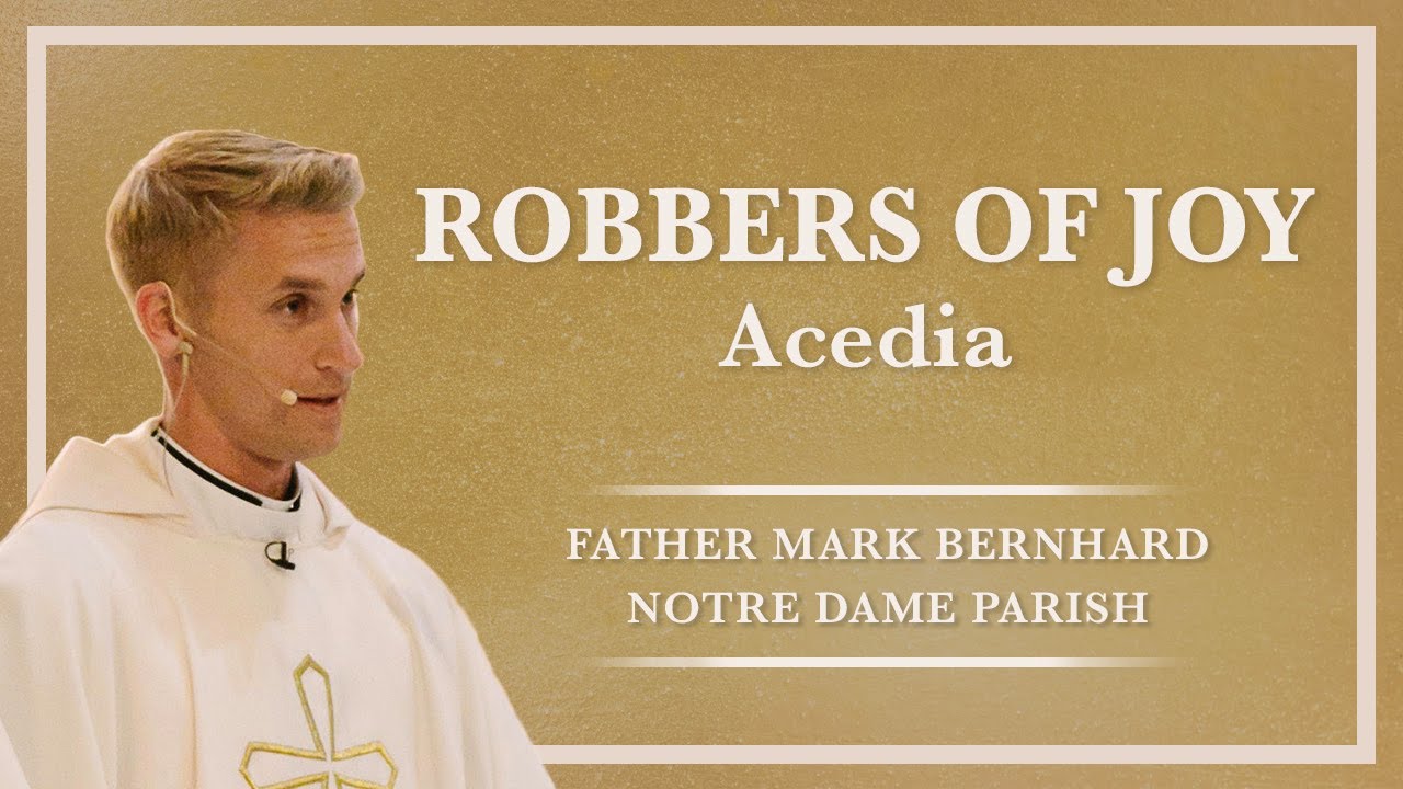 Robbers of Joy: Acedia
