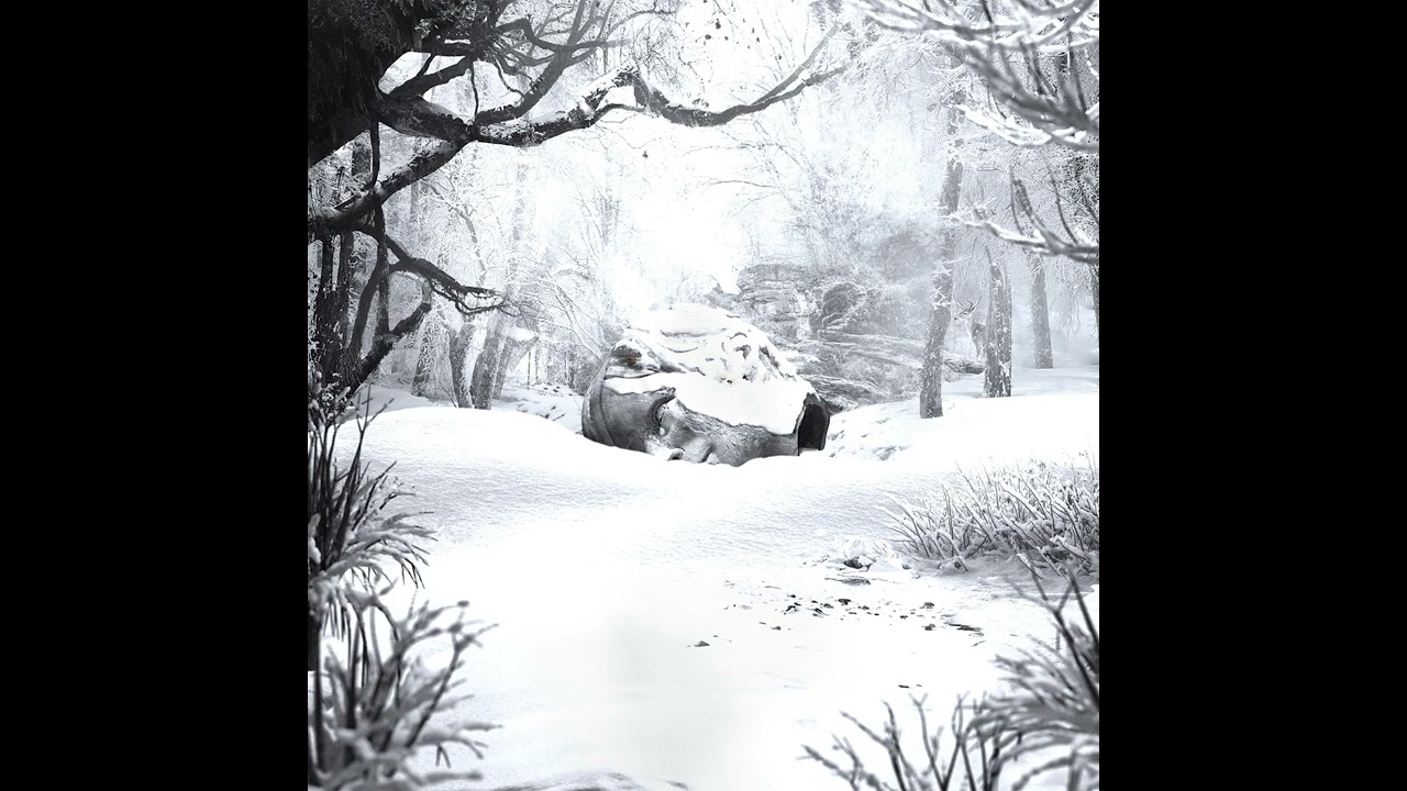 Why Don't You Get Me - Weezer SZNZ: Winter Vinyl Track (High Quality)