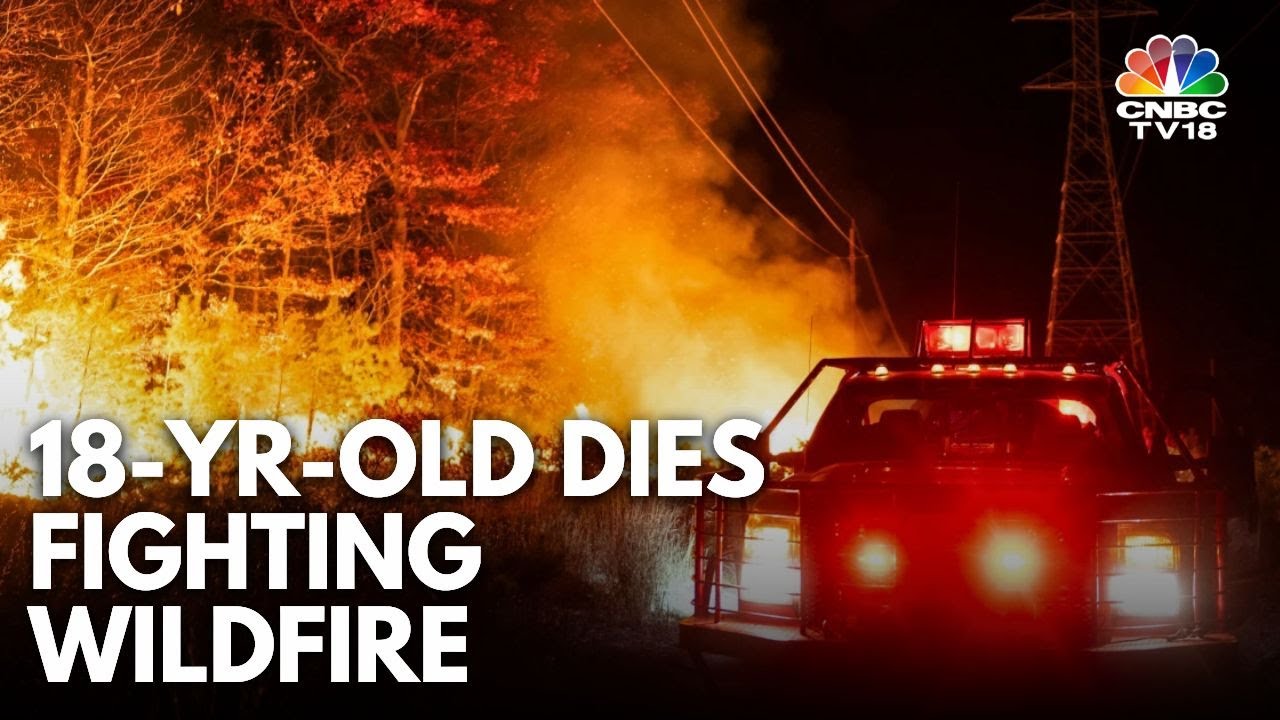 18-Year-Old New York Parks Employee Dies Fighting Wildfire in Orange County | US News | N18G