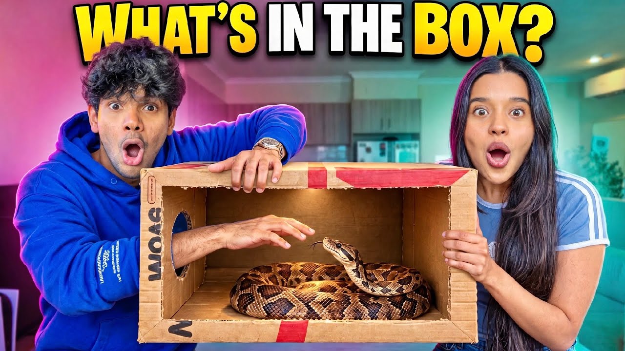What's in the Box Challenge 😂 | Yash & Hass