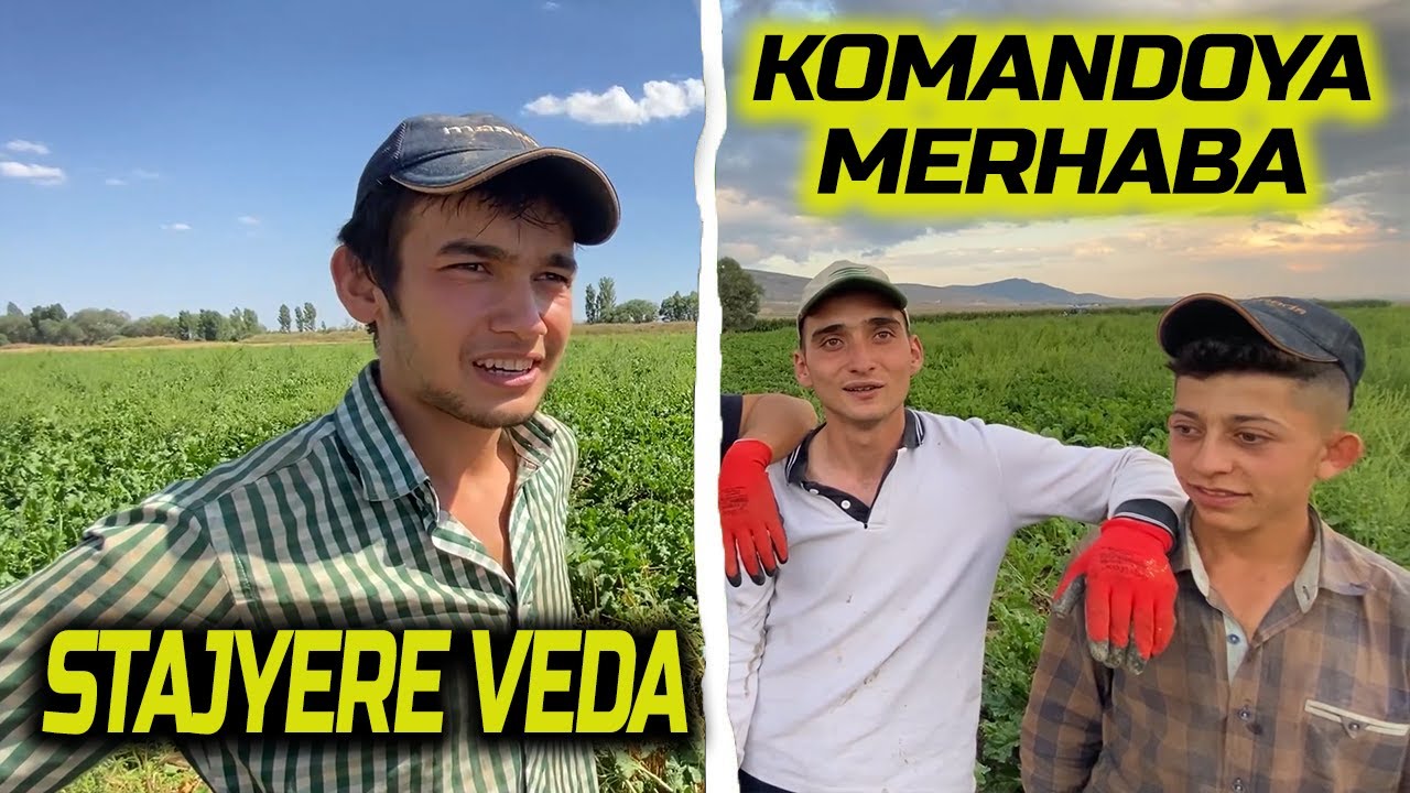 ÇELİK ÇİFTLİĞİNDE SÜRPRİZ GELİŞMELER. KOMANDONUN ASKERLİK HİKÂYELERİ. ERKEK PANCAR TEMİZLİĞİ