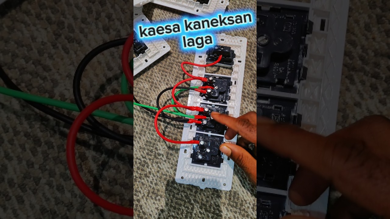KANEKSAN KAESA LAGA 😱😱
