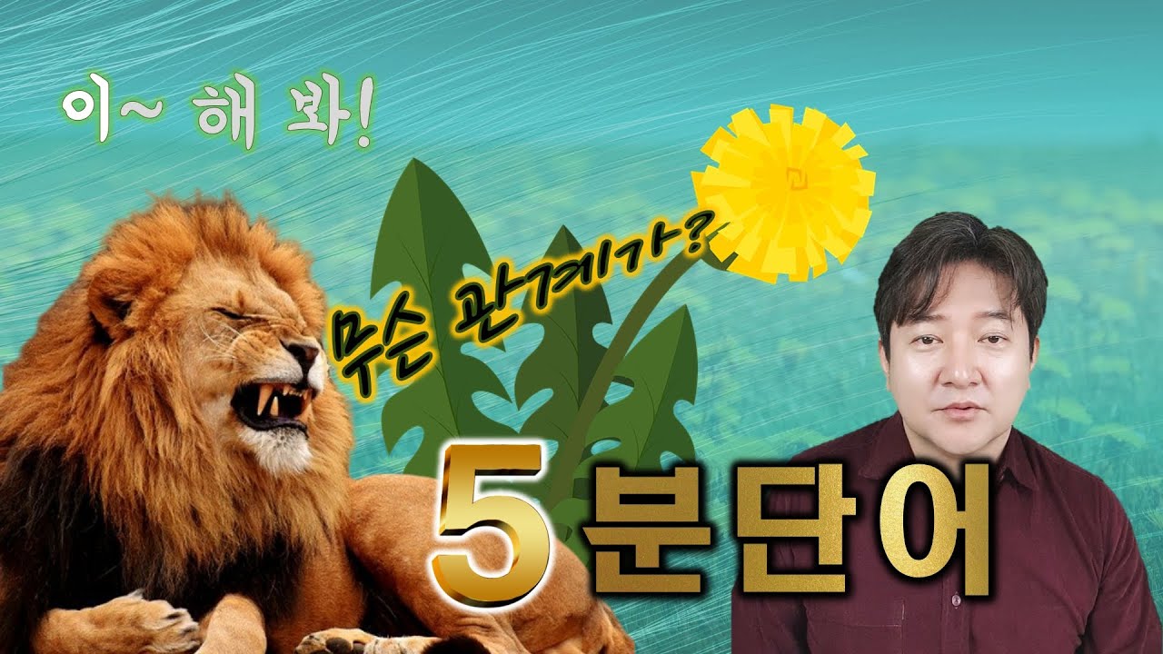 기적의 5분 영단어 (37편) - 영어가 즐거워지는 영상(민들레는 '사자의 이빨'에서 유래)
