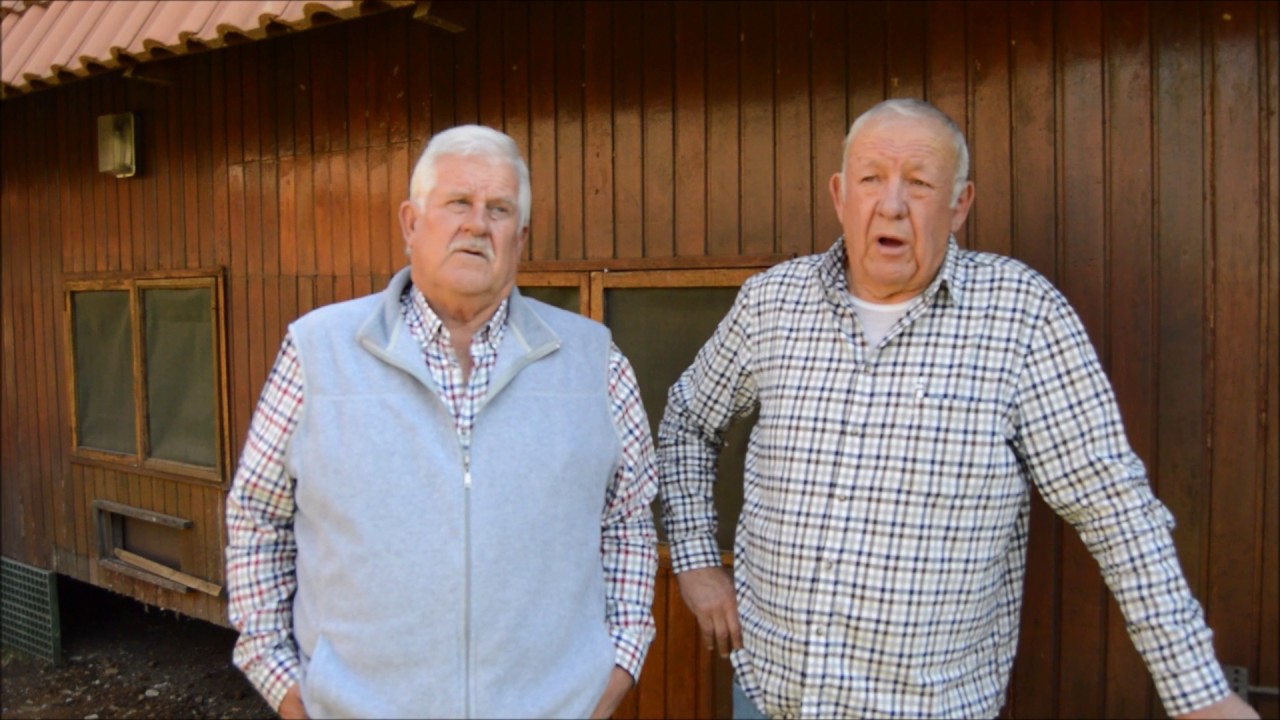Schmidt & Bouwer Pigeon Auction | Interview & Lofts