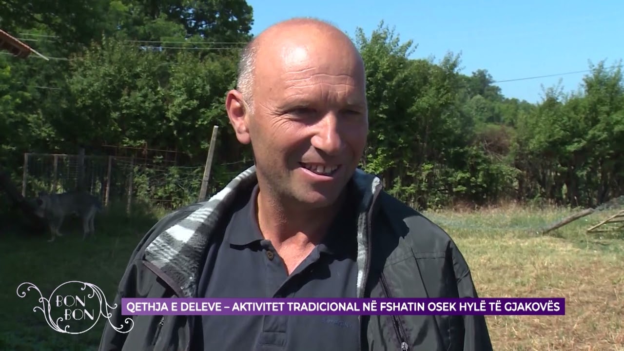 QETHJA E DELEVE -  AKTIVITET TRADICIONAL NË FSHATIN OSEK HYLË TË GJAKOVËS 15.06.2022