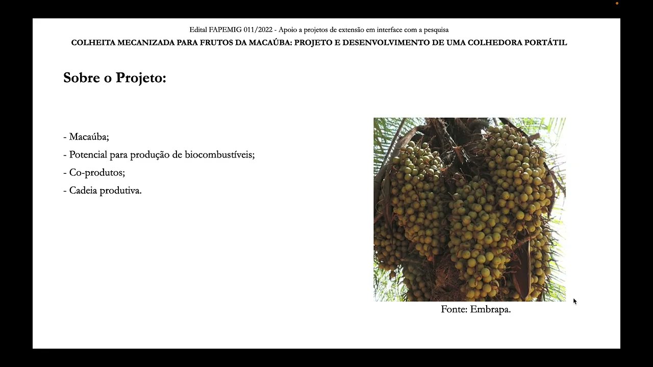 COLHEITA MECANIZADA PARA FRUTOS DA MACAÚBA: PROJETO E DESENVOLVIMENTO DE UMA COLHEDORA PORTÁTIL