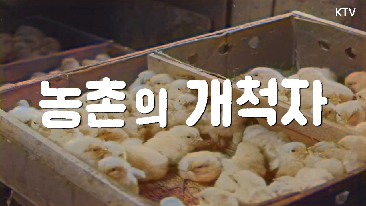[📺컬러 복원] 농촌의 개척자 | 7년 만에 1만5천평 ‘양계왕’ 농장 경영의 비밀 [대한뉴스 353호] 📽️1962년 2월 23일 방영