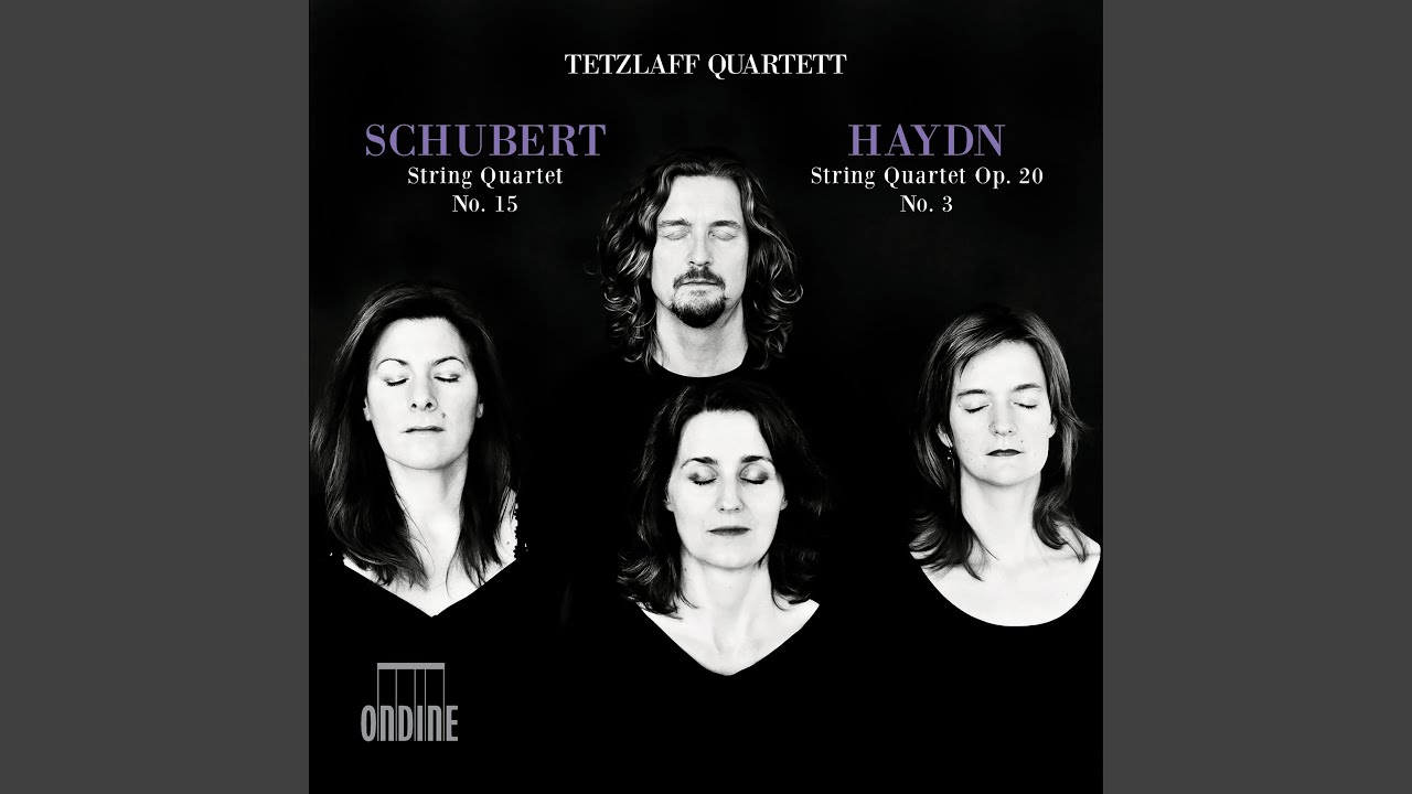 String Quartet No. 15 in G Major, Op. 161, D. 887: I. Allegro molto moderato