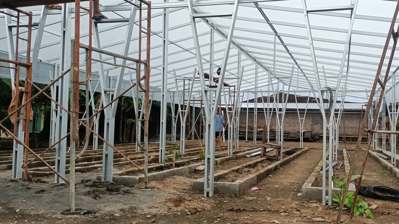 Kebun Anggur Riset (update 1 memasang atap uv)
