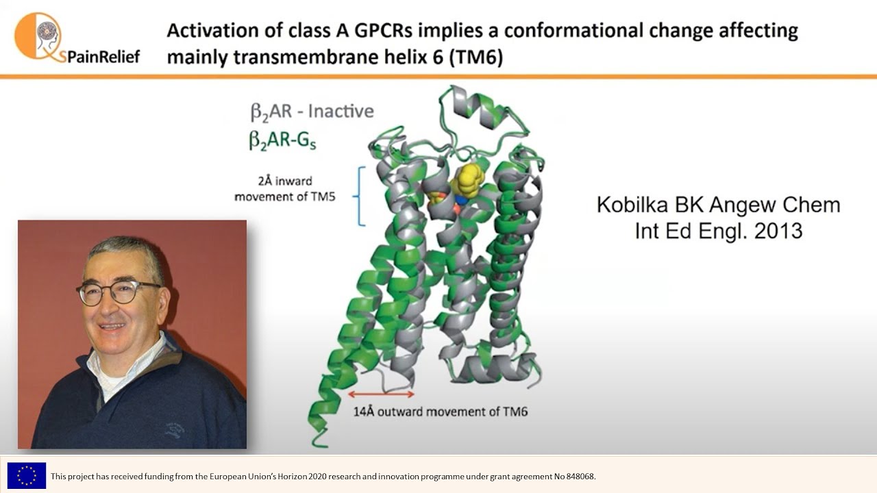 QSPainRelief Masterclass - Molecular Modelling and Dynamic Simulations of GPCRs (by Jes&uacute;s Giraldo)