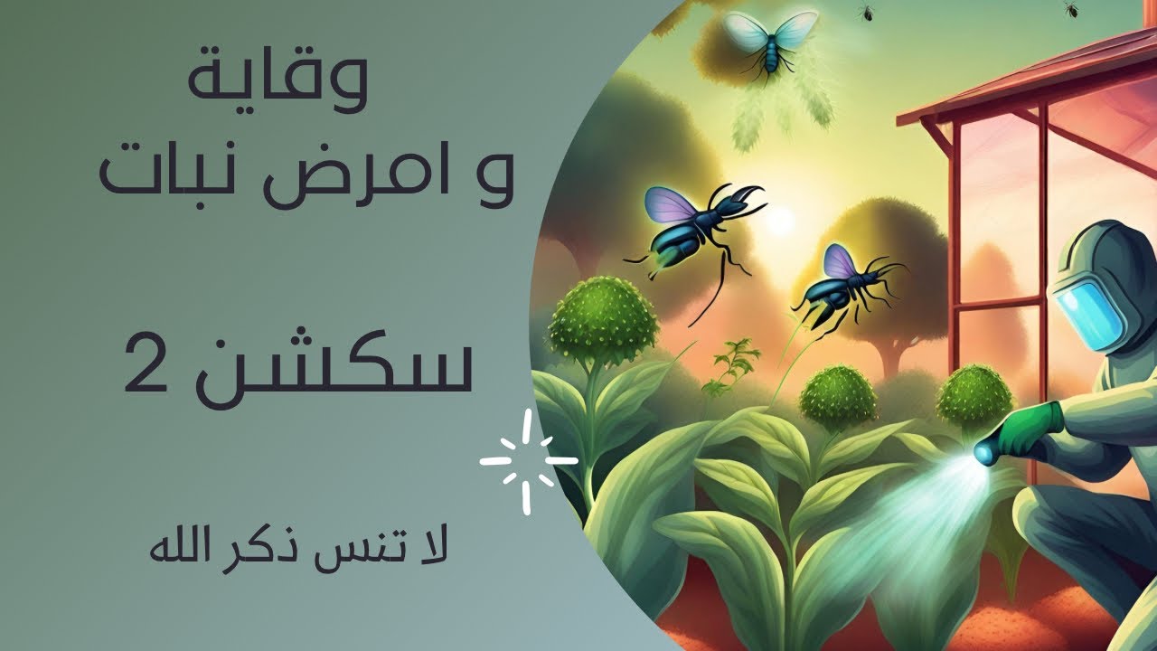 سكشن 2 وقاية وامراض نبات كلية زراعة فرقة اولى .