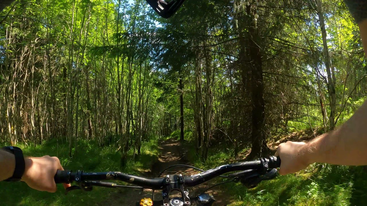 P*rnostien & overgrown | Frognerseteren | Downhill | Oslo