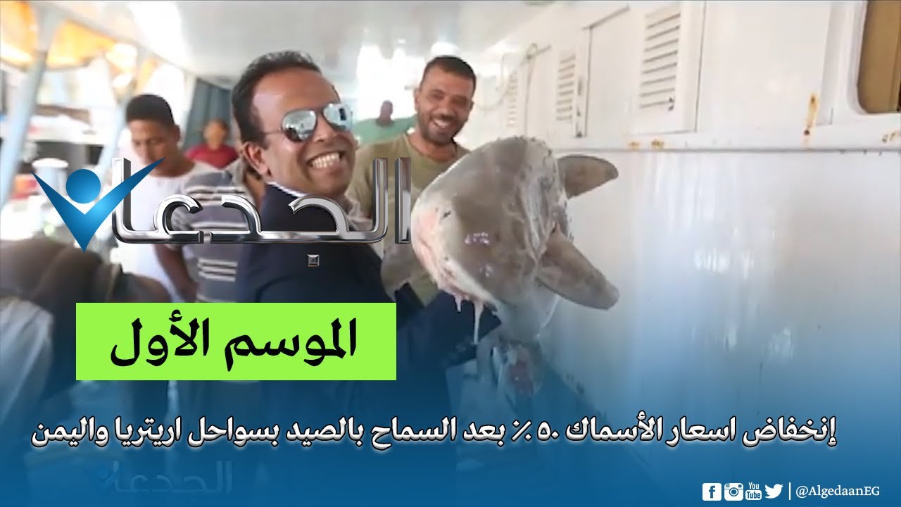 إنخفاض اسعار الأسماك 50 % بعد السماح بالصيد بسواحل اريتريا واليمن