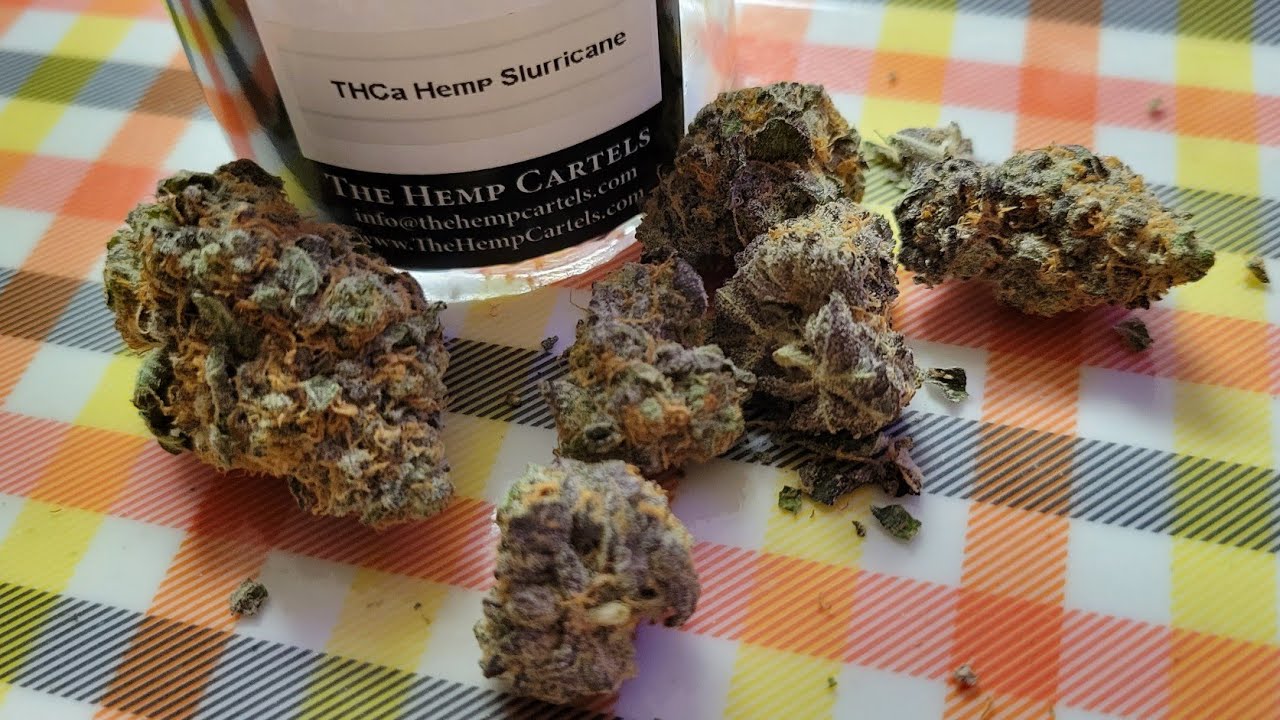 The Hemp Cartels (hmp) THCA Slurricane Strain Review!! 🫐🍇🙌