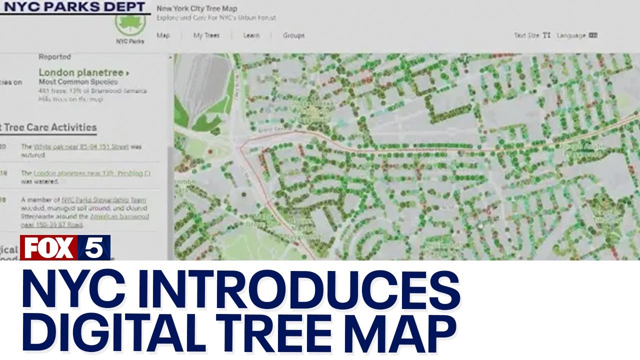Digital map shows each of NYC's millions of trees