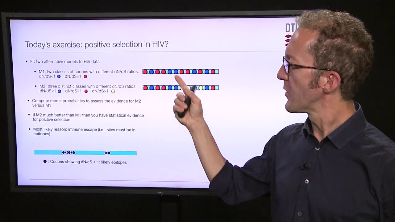 Introduction to computer exercise: detection of selection