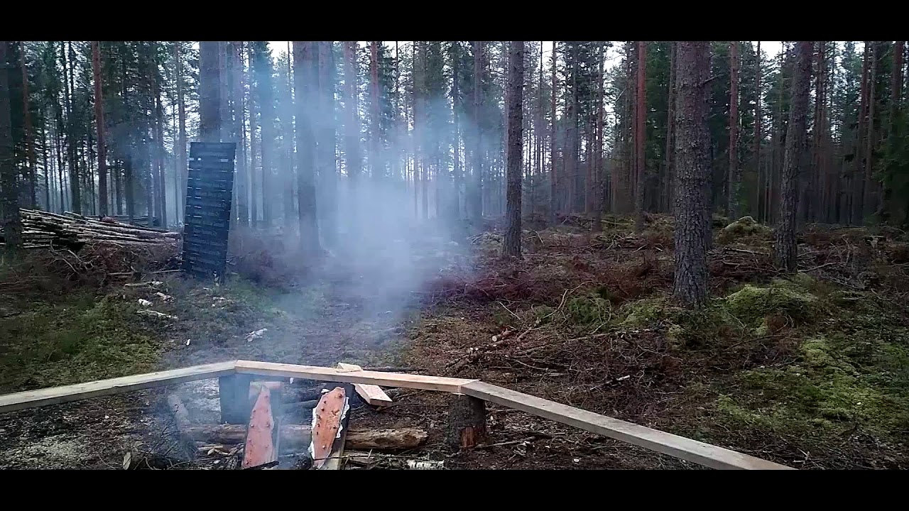 Etelän Pystymettä 2019