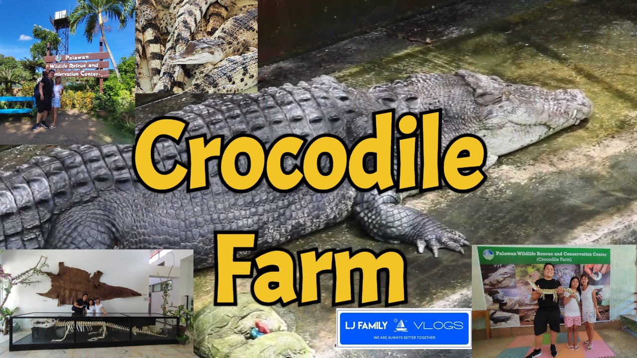 Crocodile Farm Puerto Princesa Palawan