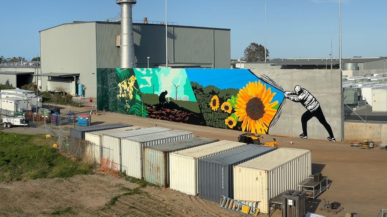 Massive Mural Brendale Queensland