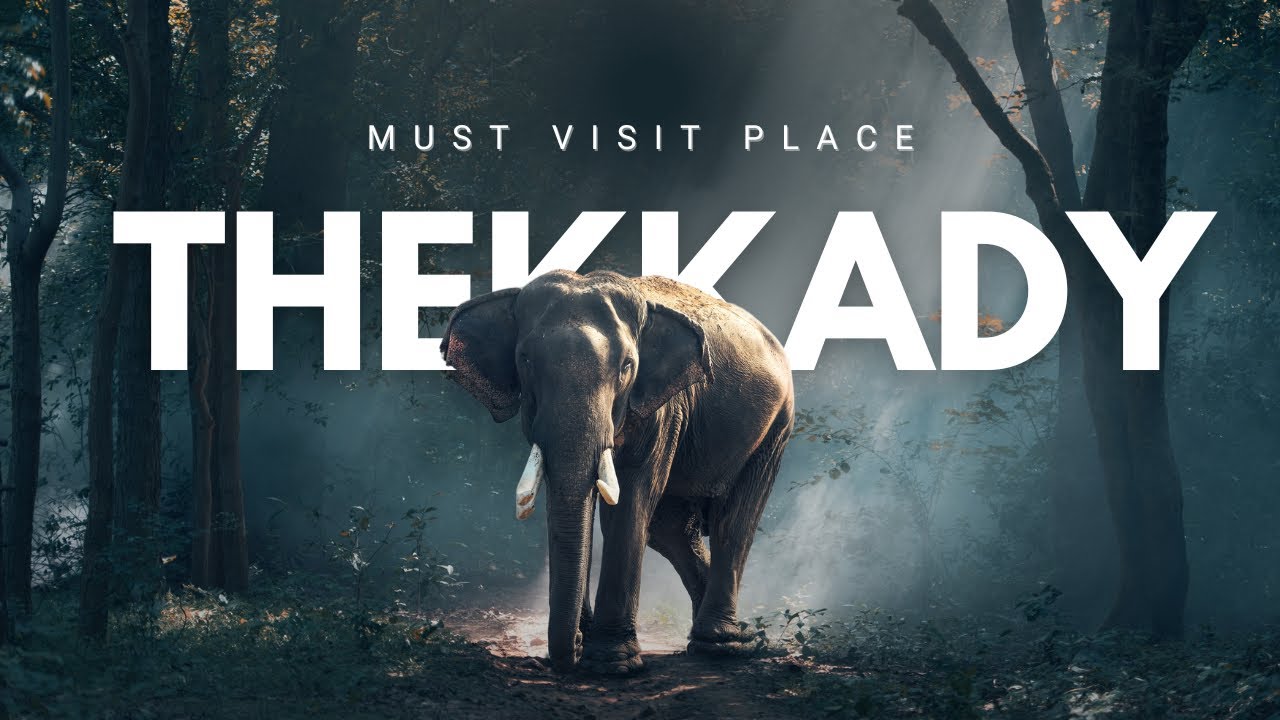 A Day In Cultural Capital Of Kerala | THEKKADY |