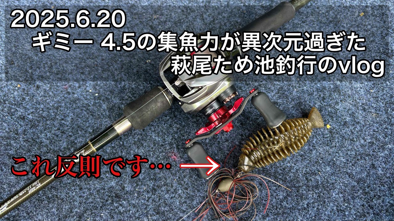 6/20 ギミー4.5の集魚力が異次元過ぎた萩尾ため池釣行のvlog
