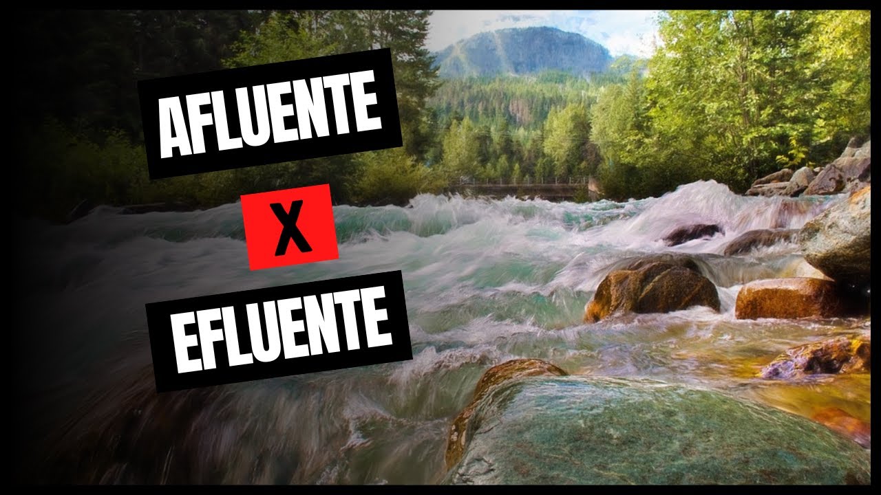 AFLUENTE x EFLUENTE: Qual a diferen&ccedil;a?