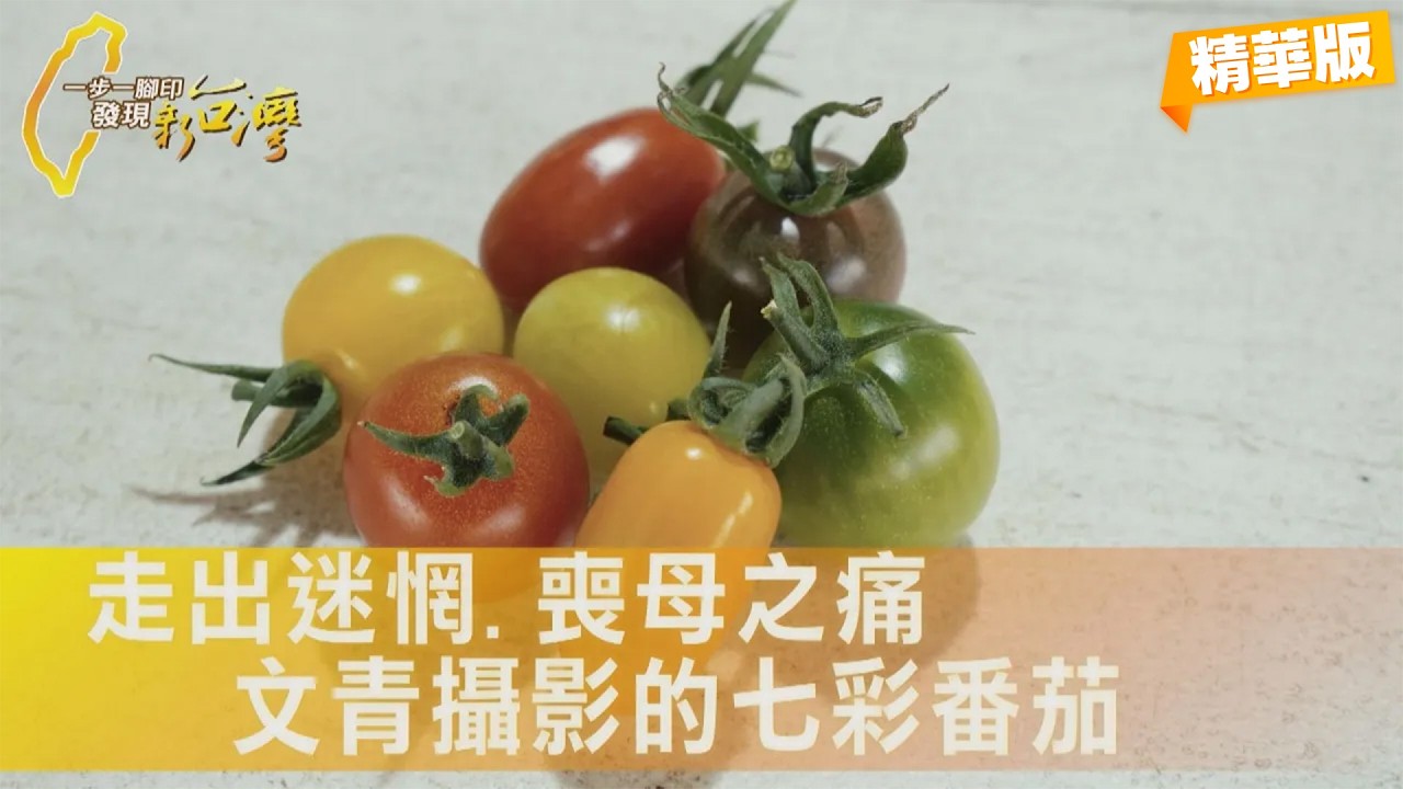 【彰化】迷惘的北漂文青攝影返家務農.歷經喪母之痛.女兒早療 他堅強進取種出熱銷七彩番茄∣一步一腳印【家的力量七彩番茄】20260315