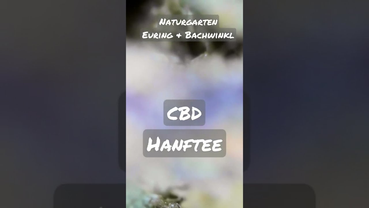 #420 CBD Hanftee unter dem Mikroskop 01-02